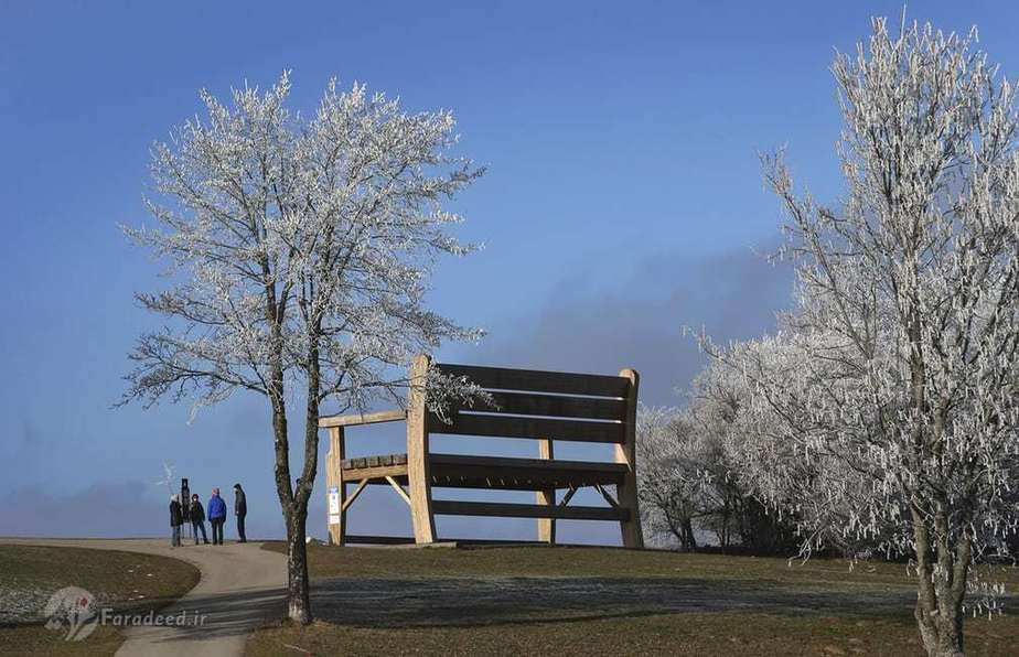 نیمکت چوبی 6 متری.(آلمان)