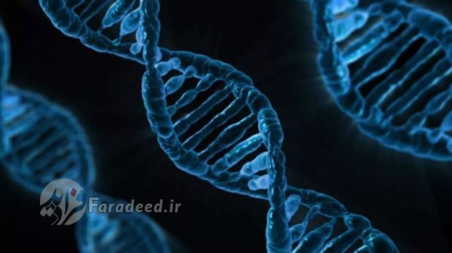 اگر DNA خود را بردارید و آن را بکشید، به‌اندازه 10 میلیارد مایل ادامه می‌یابد. 