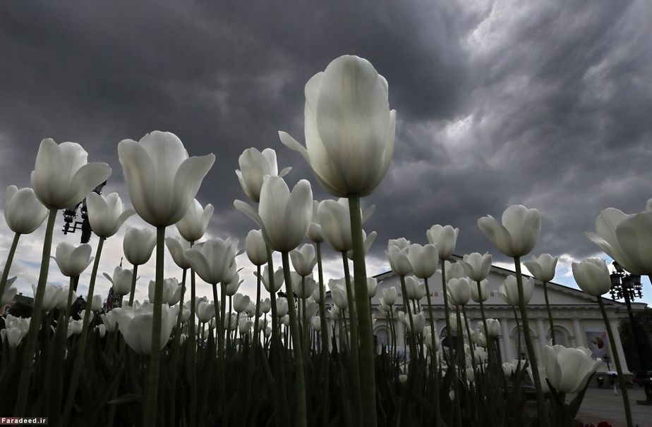 هوای توفانی در مسکو