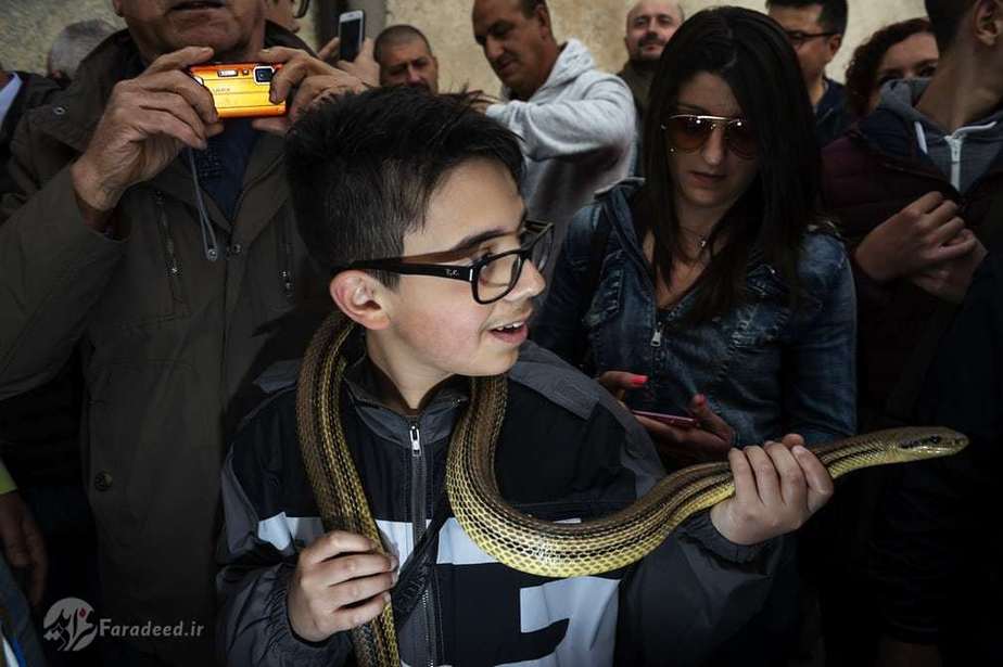 شور و حال خاصی در میان مردم رواج دارد