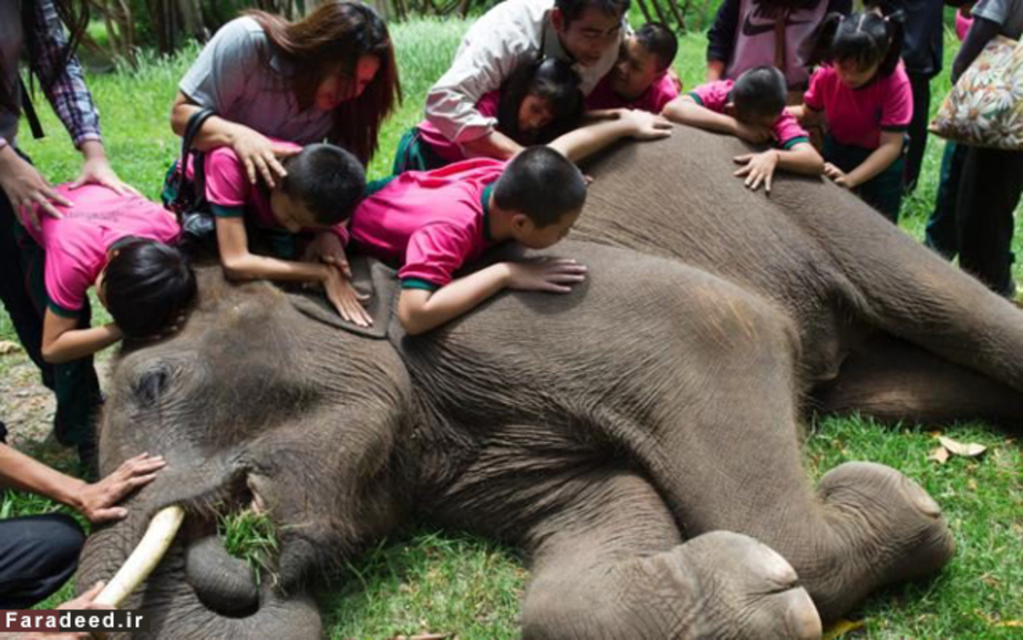 برنامه آموزش به کودکان نابینا؛ تایلند