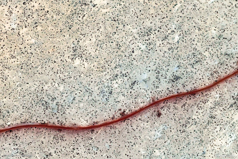 مالی