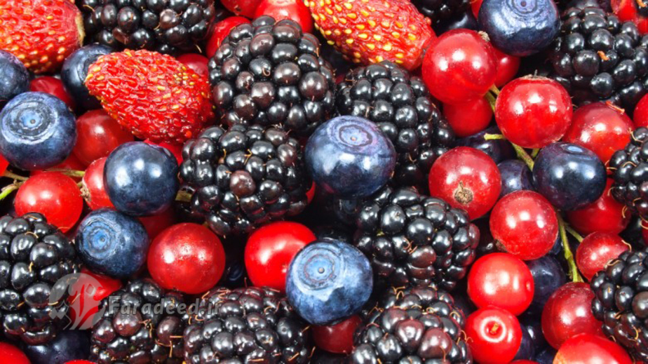 روزی ۳ تا ۴ گرم خوردن انواع توت فیبر مورد نیاز بدن شما را تأمین می‌کند
