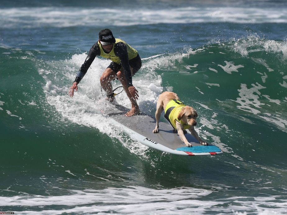 موج‌سواری در هانتینگتون بیچ، کالیفرنیا