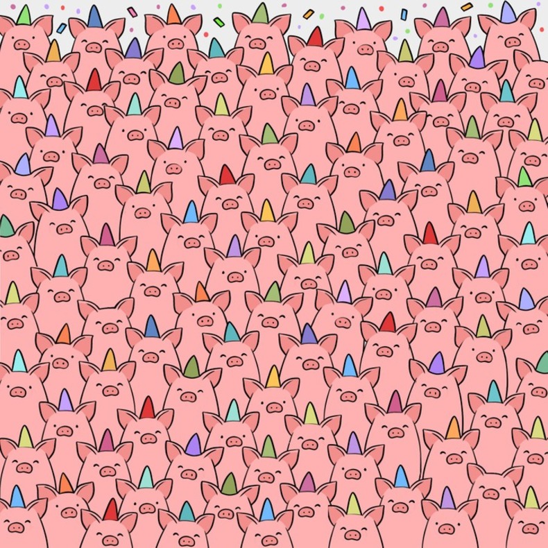 معمای شماره ۵ خوک های بی کلاه را پیدا کنید. 