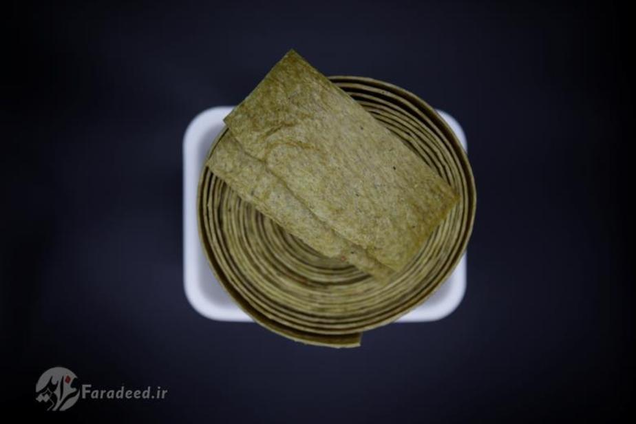 نوعی پروتئین گیاهی