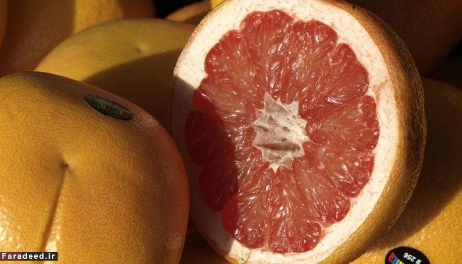 گریپ فروت حاوی 90.5 درصد آب می باشد.