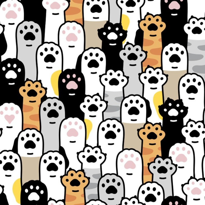 معمای شماره ۲ قلبی که در این تصویر وجود دارد را می توانید پیدا کنید؟ 