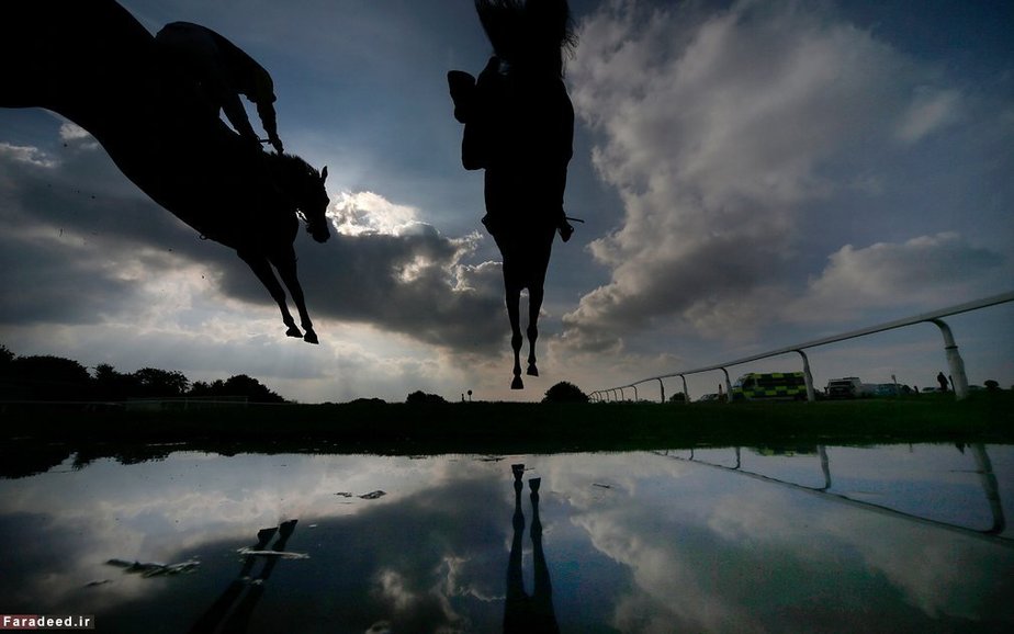 مسابقه اسب دوانی؛ انگلیس