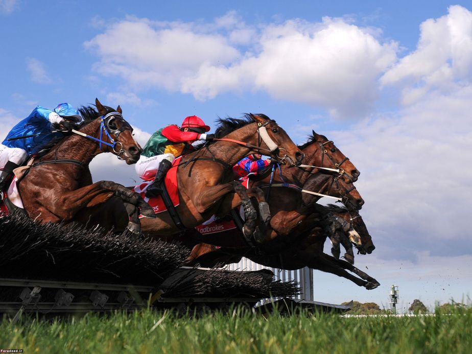 اسب‌دوانی با مانع در ملبورن