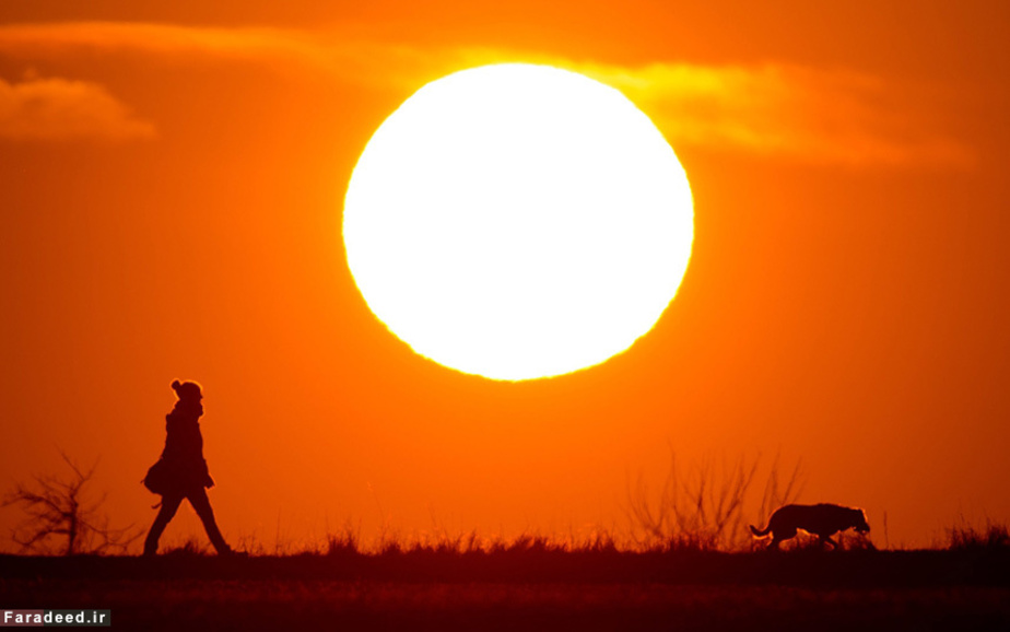 زنی با سگش هنگام غروب؛ هانوفر، آلمان