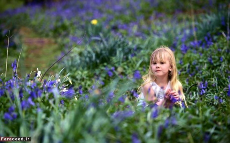 دختر کوچک در پارک، اسکس، انگلیس