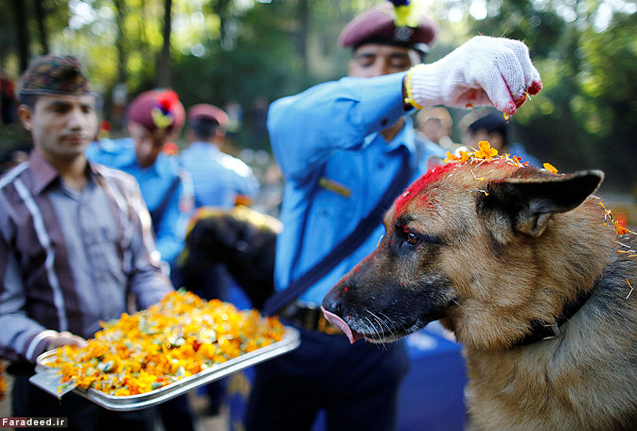 جشن دیوالی در نپال
