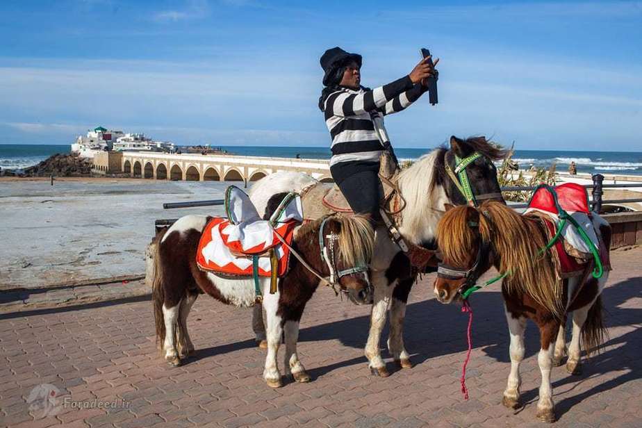 سیدی عبدراحمنه، کازابلانکا،2016