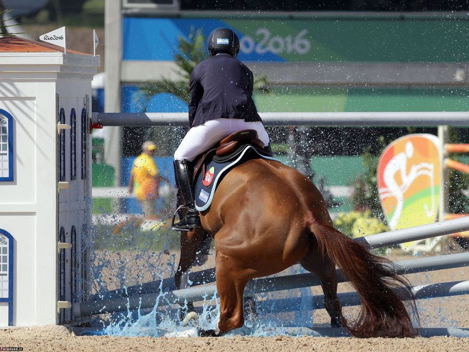 سوارکار آرژانتینی در حال پرش از مانع با اسب 