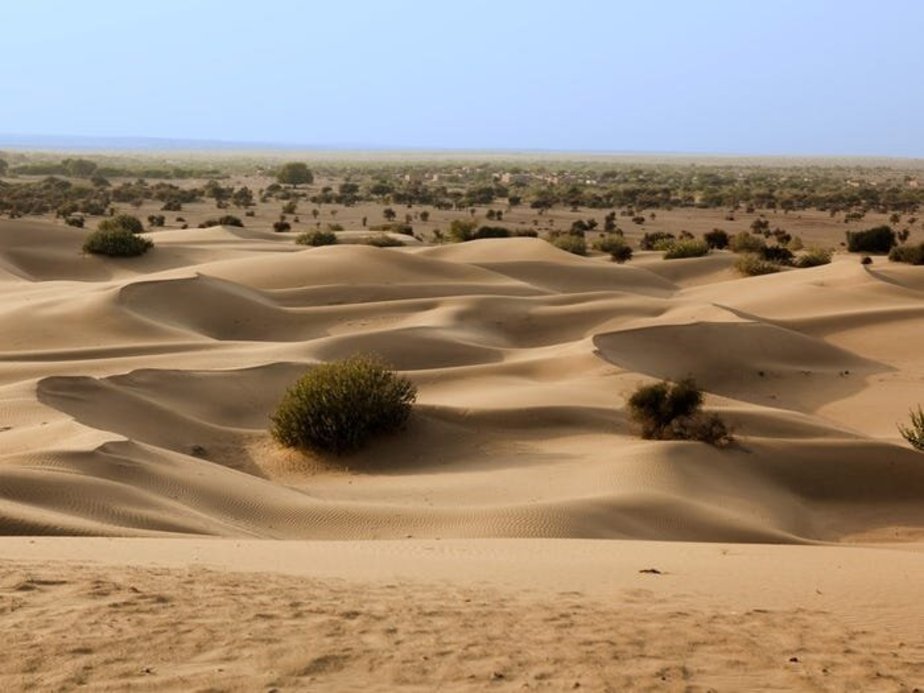 صحرای تار در پاکستان و هند