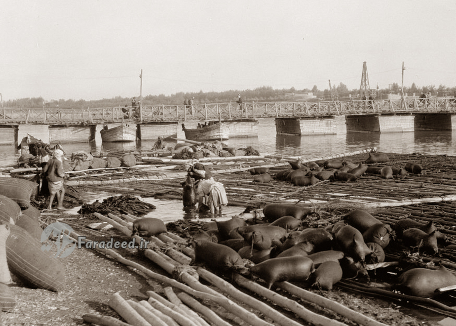 نمایی از دجله و پل قدیمی روی ان