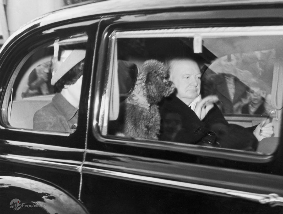 نخست وزیر بریتانیا، وینستون چرچیل، کاخ بکینگام را با سگ خود، روفوس، در سال 1951 ترک کرد.