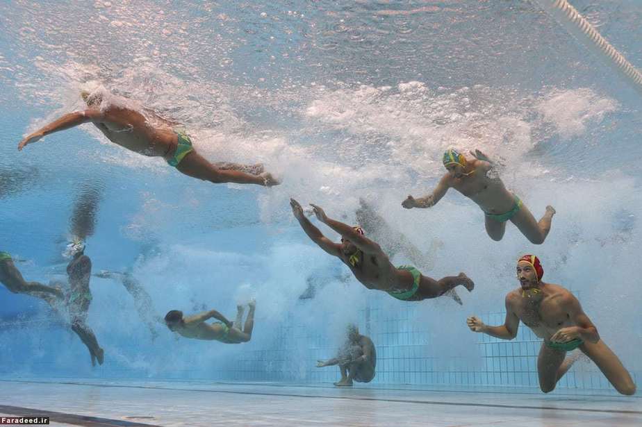 تیم استرالیا در مسابقه شنای مردان در بوداپست