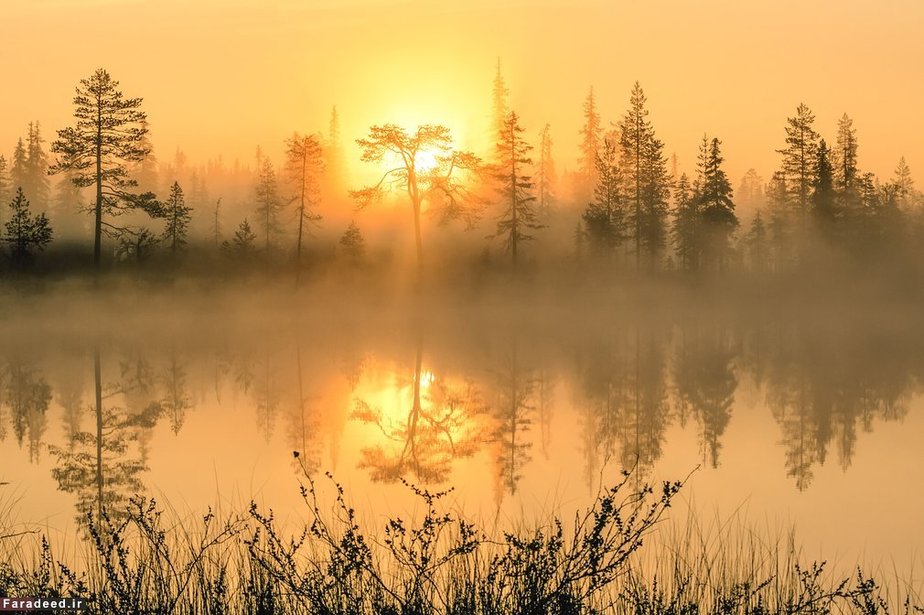 طلوع طلایی آفتاب در فنلاند