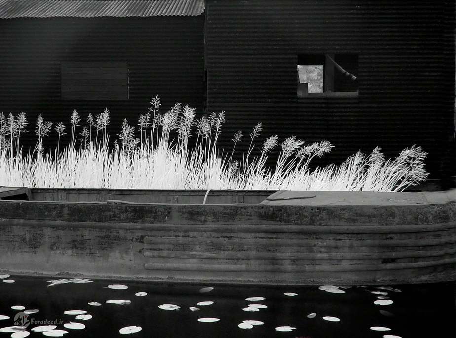 باب دالو، مقام دوم، کنارجوی، انگلستان 