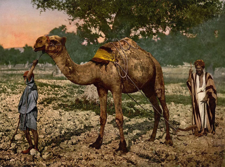 صحرای جزریل